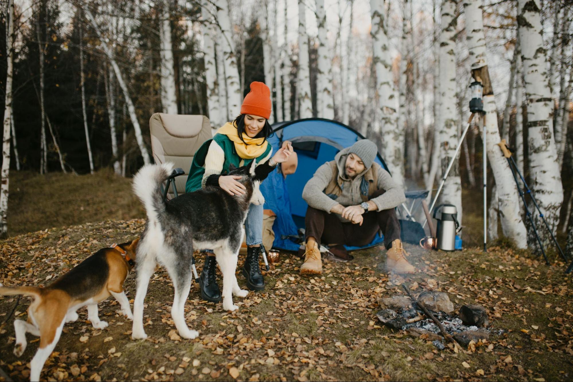 Winter Camping Gear Checklist Top Sustainable Essentials for ColdWea